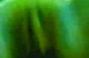 सेक्स पोर्न रूसी युवा लड़कियों www डॉट xx वीडियो के शीलभंग (18 वर्ष)