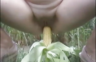 सेक्स पोर्न एल्सा xx हिंदी वीडियो जिन