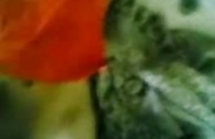 सेक्स पोर्न 10 xxx xxx सेक्सी सुपर कामोत्ताप (चयन)