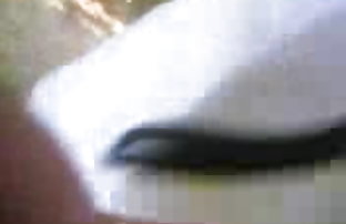 सेक्स पोर्न भयानक काटने इंग्लिश xx वीडियो शांत लड़की